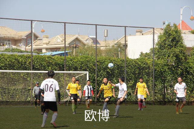 欧博公司介绍
